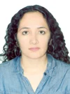 Foto de Dr. Irene Esmeralda Cardenas Vela