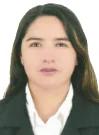 Foto de Dr. Giovana Villa Palomino