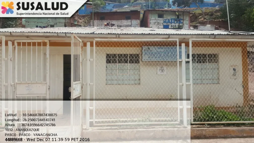 Anasquizque en Yanacancha, Pasco