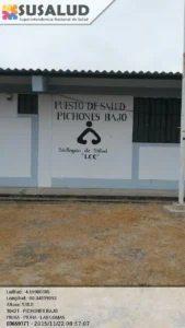 Puesto de Salud Pichones bajo