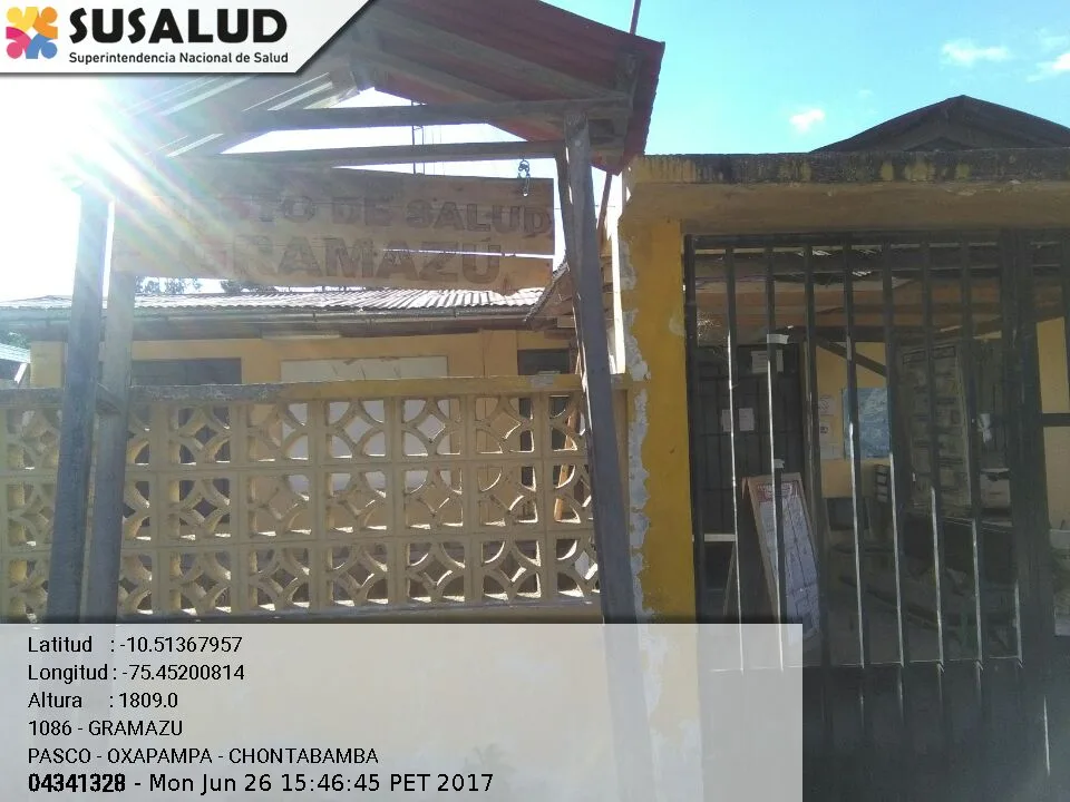 Gramazu en Chontabamba, Pasco