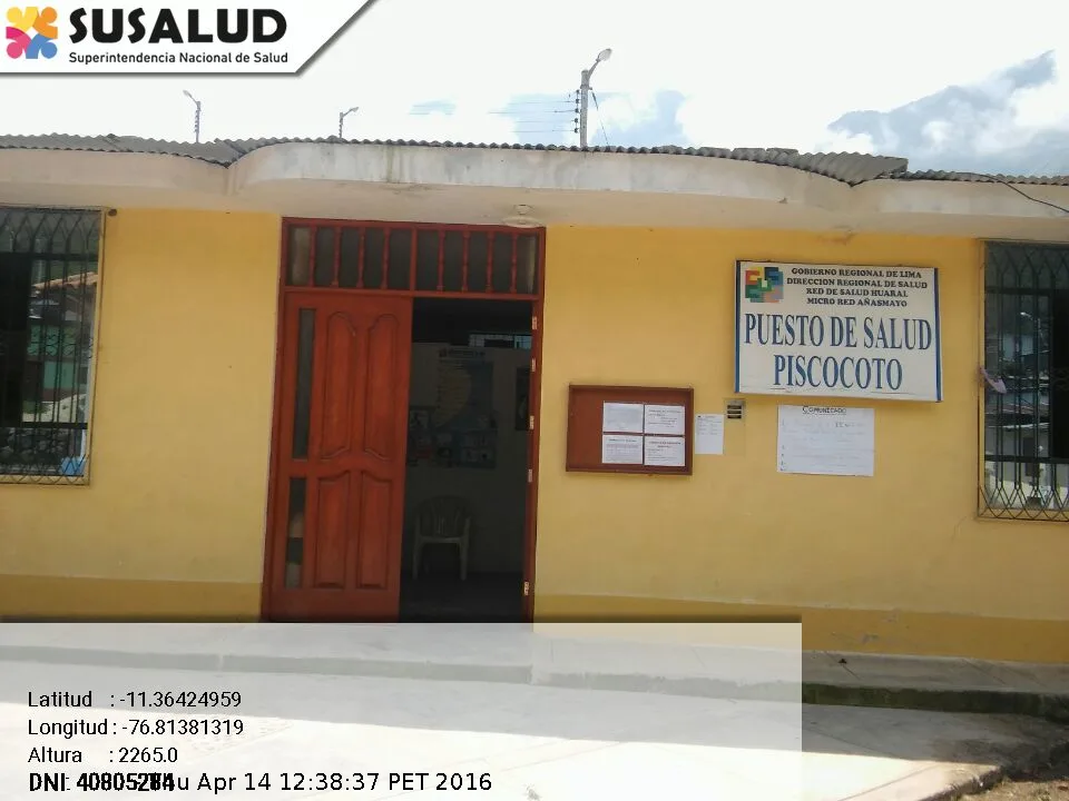 Piscocoto en Sumbilca, Lima
