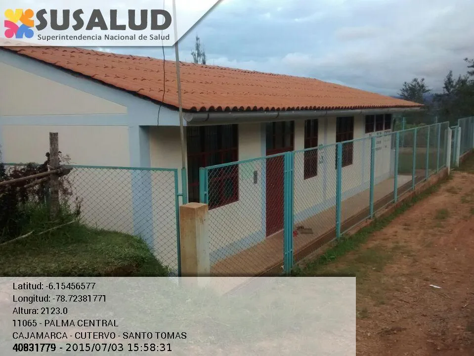 Palma Central en Santo Tomas, Cajamarca