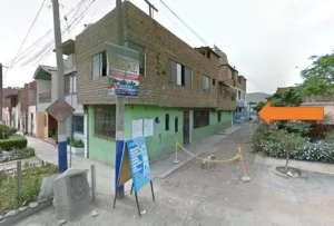 Servicios Profesionales de la Salud Flores