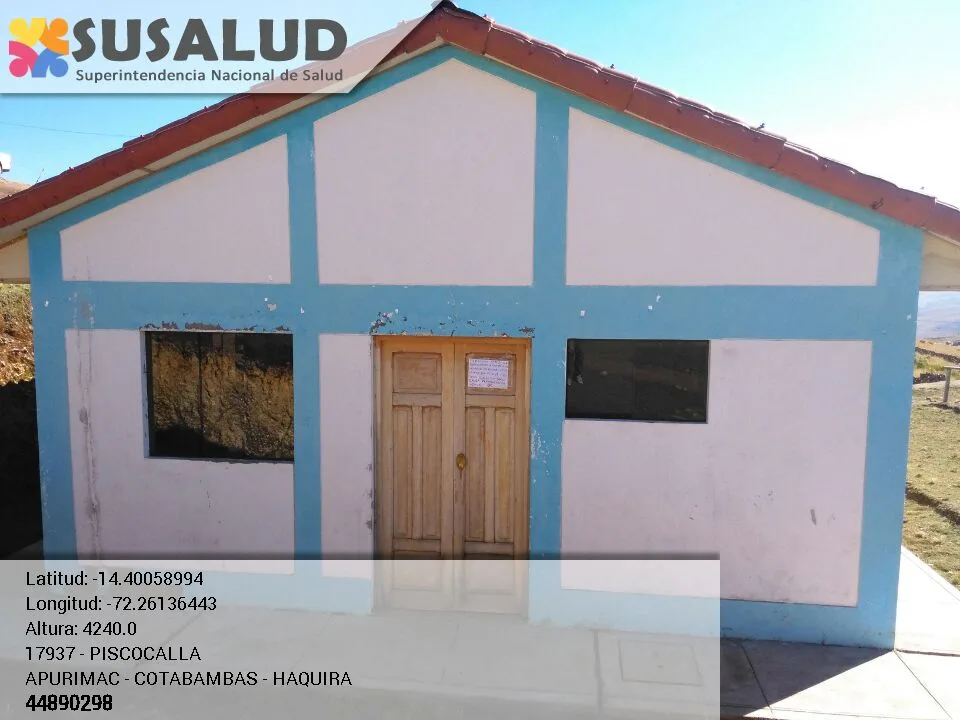 Piscocalla en Haquira, Apurimac