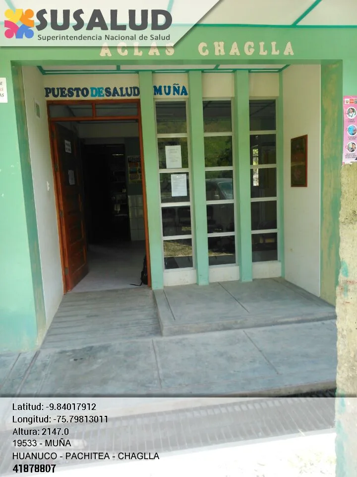Muña en Chaglla, Huanuco