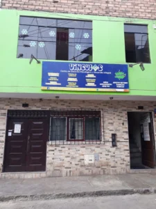 Centro de Atención Psicológica y Desarrollo Integral Vinculos