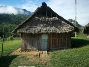 Paantan Entsa