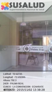 Palma Real