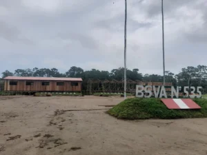Batallón de Selva «tte Crl Domingo Pizarro Dioses » N° 535-Mario Rivera