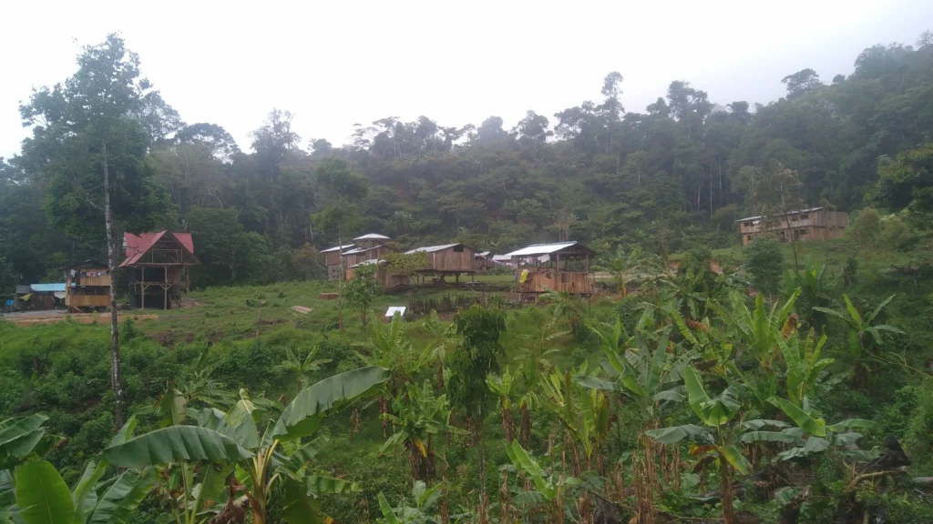 Aisped Ruta Alto San Juan de Tulumayo en Luyando, Huanuco