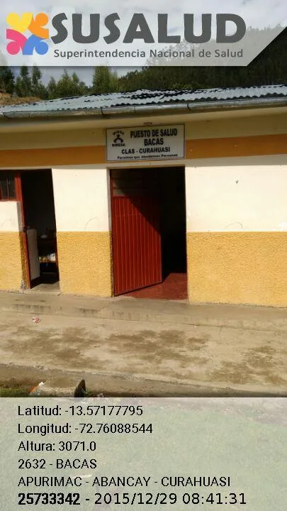 Bacas en Curahuasi, Apurimac