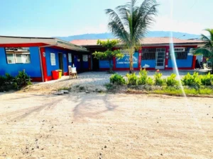 Centro de Salud Mental Comunitario Pichanaki