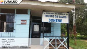 Sonene