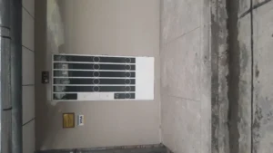 Queirolo