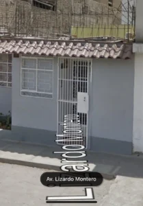 Ginecontrol