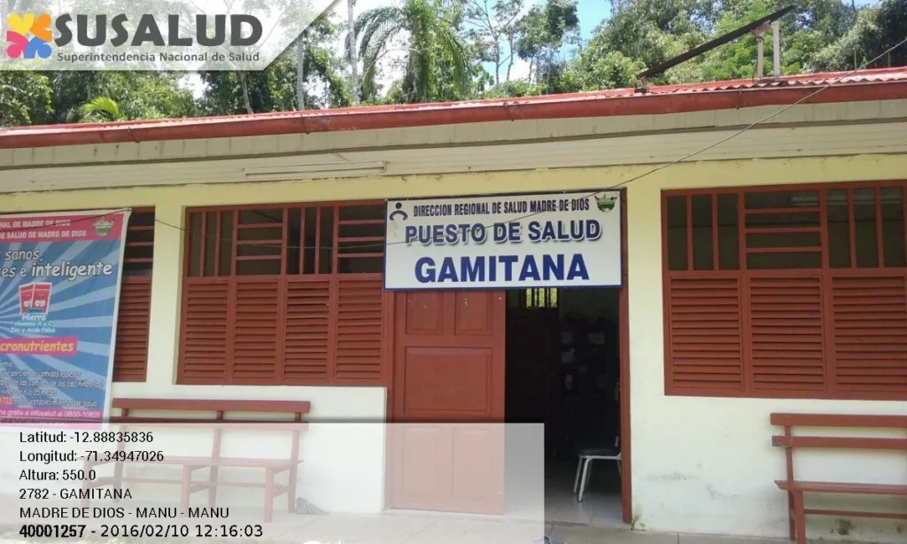 Gamitana en Manu, Madre de Dios