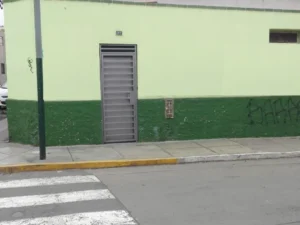 Odontocampos