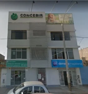 Concebir los Olivos