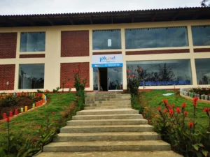 Centro de Salud Mental Comunitario Plenitud