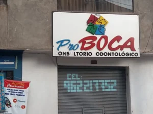 Pro Boca