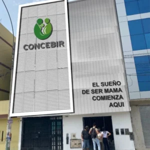 Concebir los Olivos