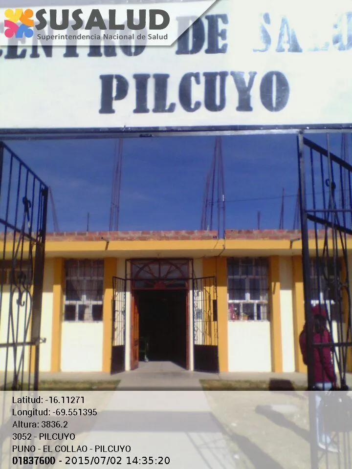 Pilcuyo
