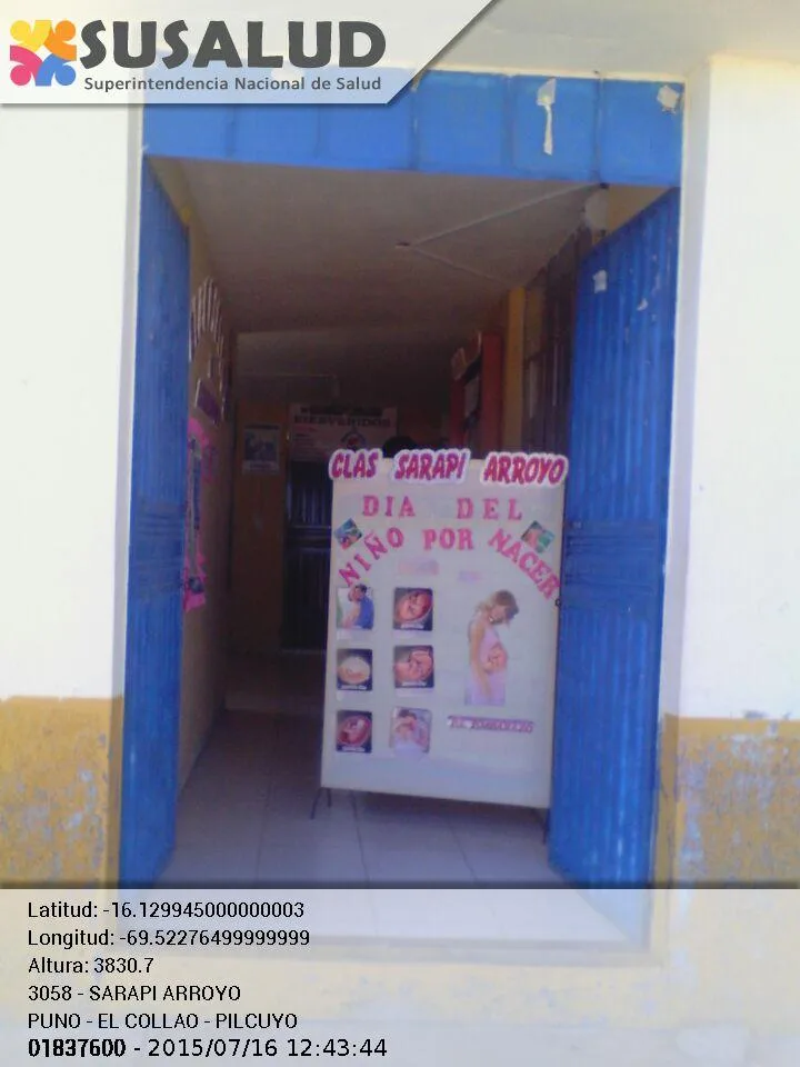 Sarapi Arroyo en Pilcuyo, Puno