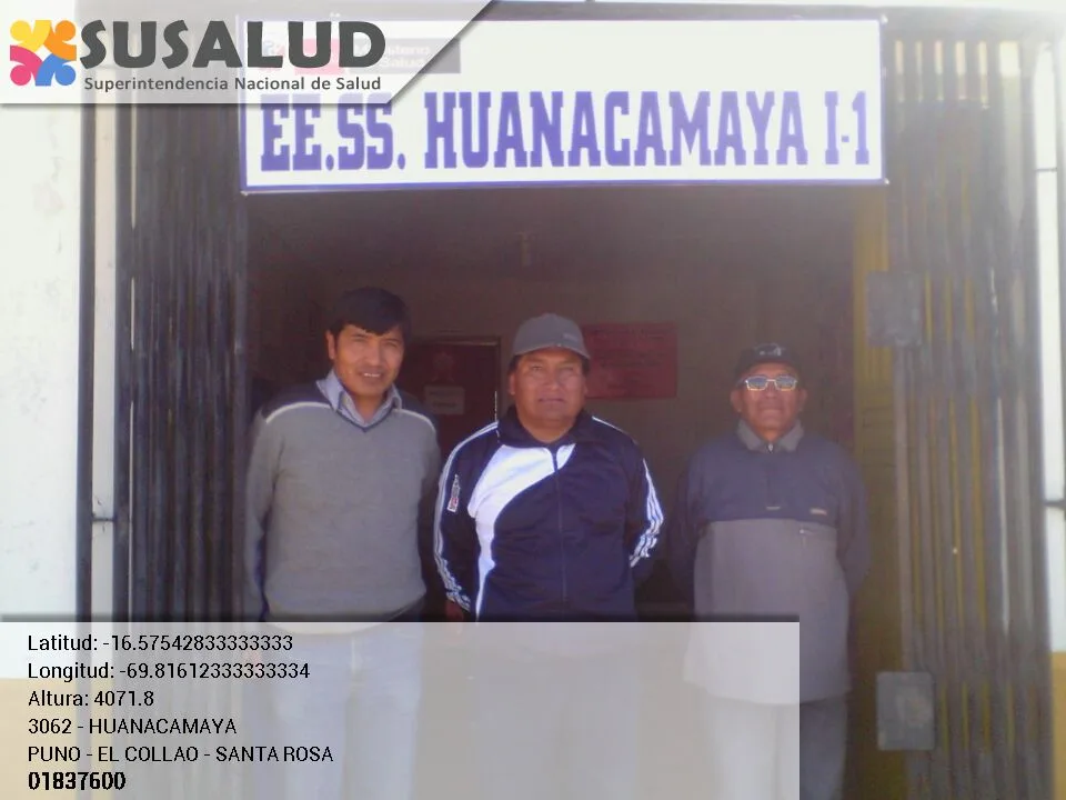 Huanacamaya en Santa Rosa, Puno