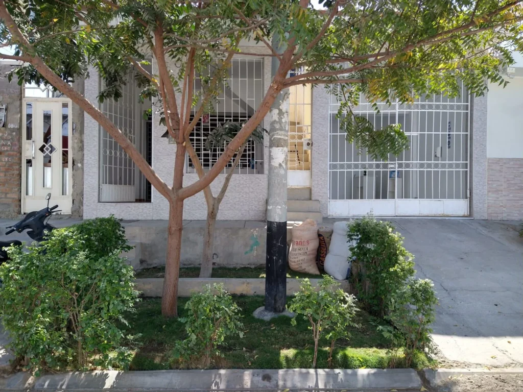 Dental Ac en Sullana, Piura