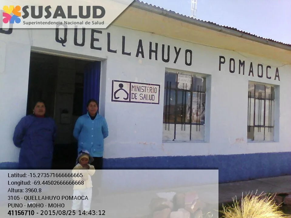 Quellahuyo Pomaoca en Moho, Puno