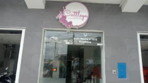 Consultorio Gestavida