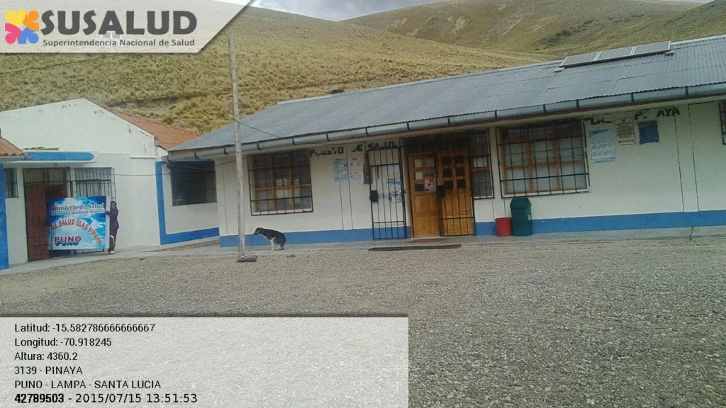 Pinaya en Santa Lucia, Puno