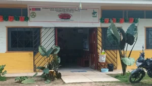 Centro de Salud Mental Comunitario «la Perla del Pachitea