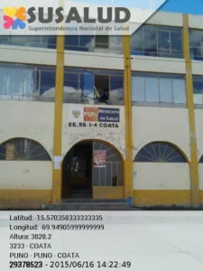 Coata