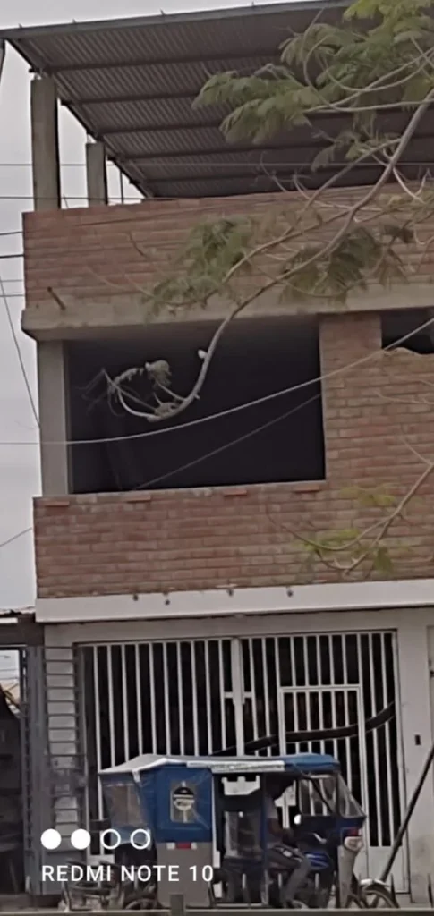 Sullana Health en Piura