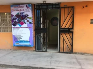 Consultora Psicologica Apg
