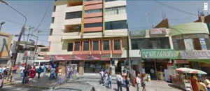 Ecopalmera