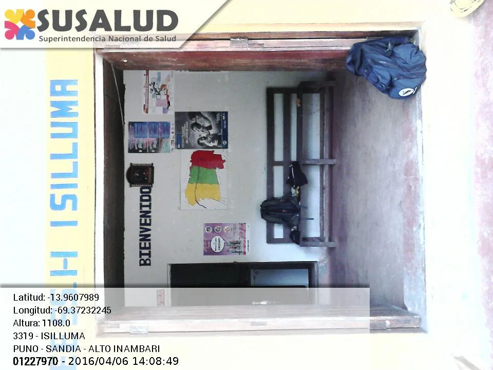 Isilluma en Alto Inambari, Puno