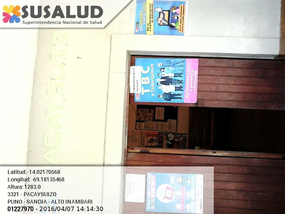 Pacaysuizo en Alto Inambari, Puno