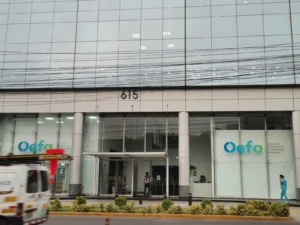 Emi Group Peru/Idm