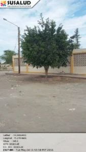 Ocucaje