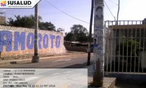 Pariña Chico