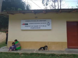 Totoras Pampaverde