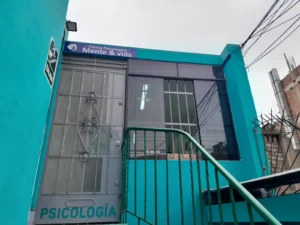 Mente & Vida- Psicologia