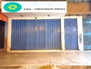 Laboratorio Clinico Laya