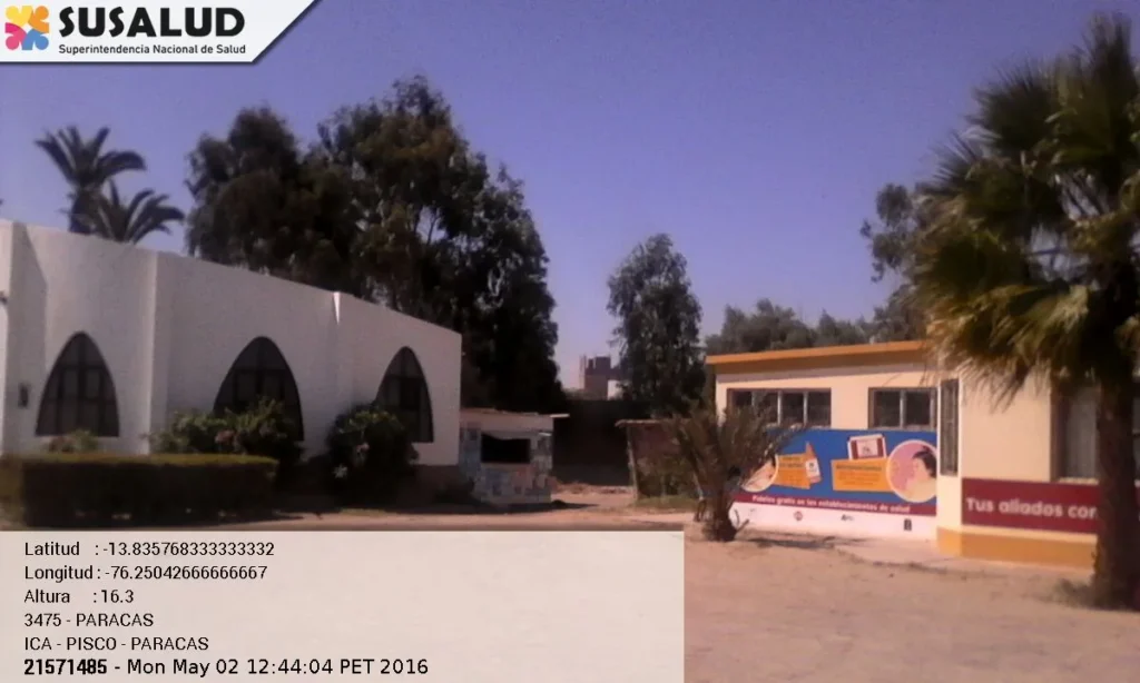 Paracas en Ica
