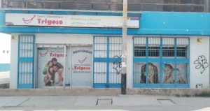 Centro Odontologico Trigoso E.I.R.L.