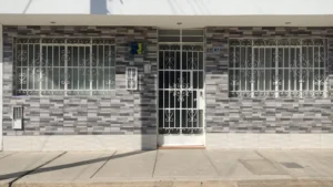 Centro de Postgrado y Atención en Educación y Estimulación – Cepaee