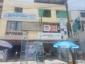 Sonovida